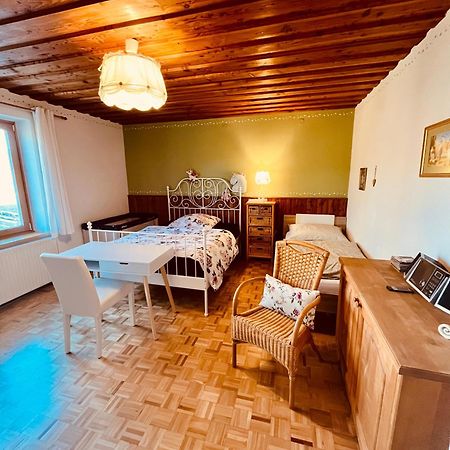 Familienapartments Mit Balkon Und Garten Ober-Lembach Zewnętrze zdjęcie