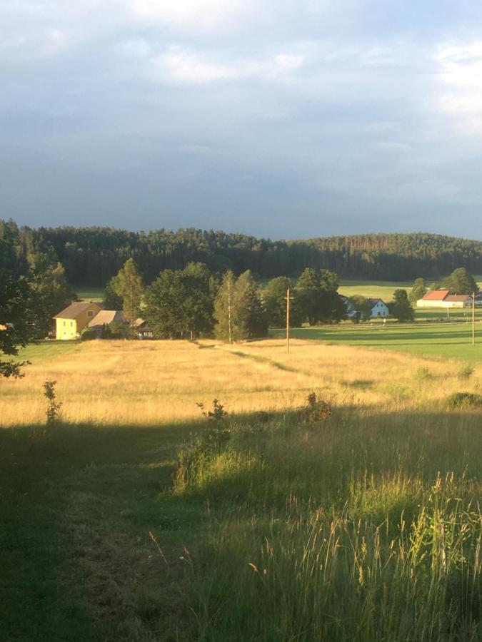 Familienapartments Mit Balkon Und Garten Ober-Lembach Zewnętrze zdjęcie