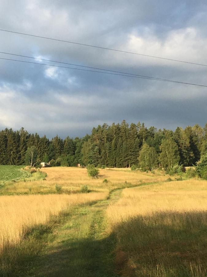 Familienapartments Mit Balkon Und Garten Ober-Lembach Zewnętrze zdjęcie