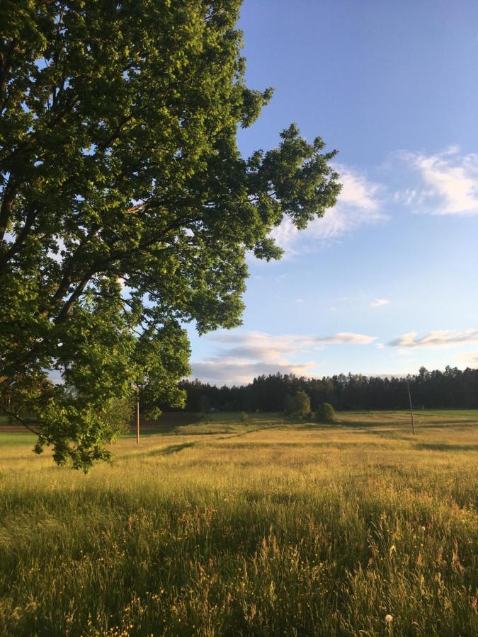 Familienapartments Mit Balkon Und Garten Ober-Lembach Zewnętrze zdjęcie